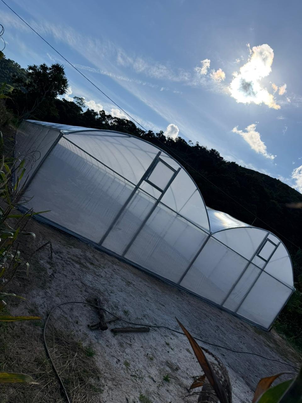Estufa Agrícola Sodmec para Secagem de Grãos de Café
