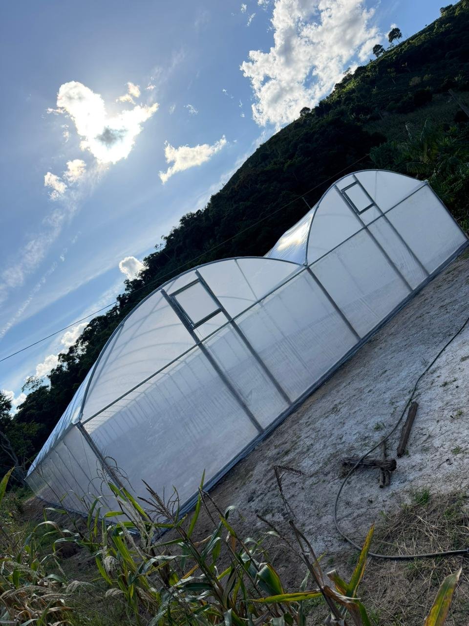 Estufa Agrícola Sodmec para Secagem de Grãos de Café