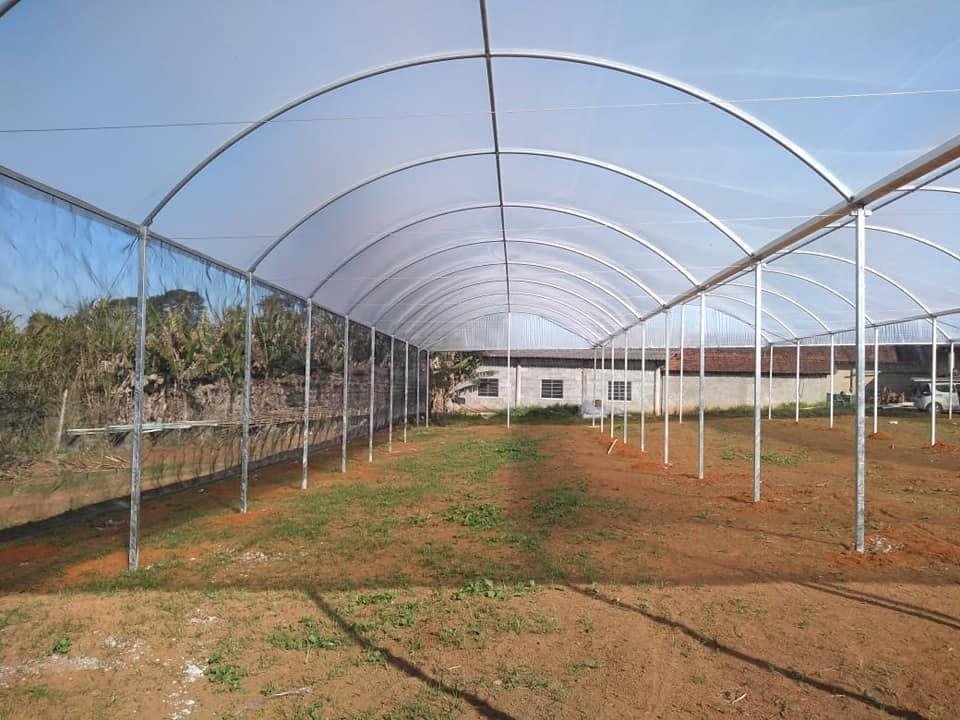 Estufa Sodmec Morango Suspenso