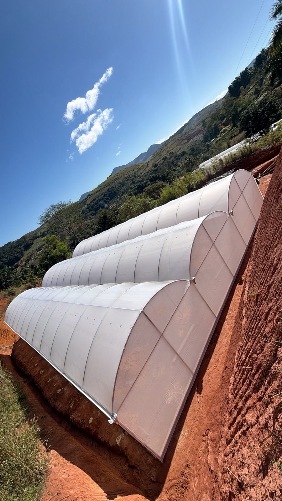 Estufas agrícolas da Sodmec