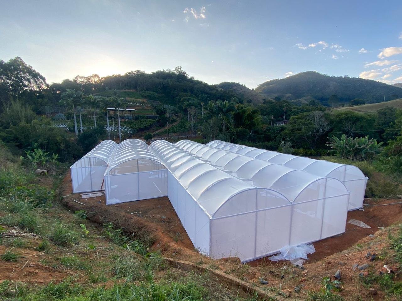Estufa Sodmec para Cultivo Protegido de Tomates/Pimentões