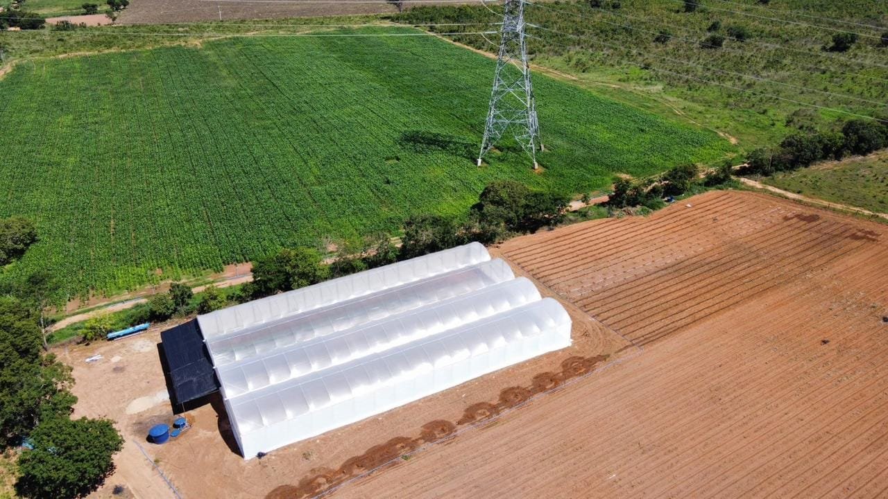 Estufa Sodmec para Cultivo Protegido de Tomates/Pimentões